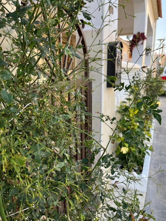 La Marina Urb, Beautiful 4 Bedroom House, Alicante, San Fulgencio, Spain المظهر الخارجي الصورة